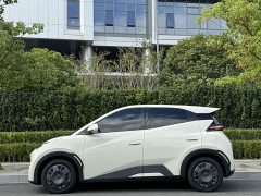 BYD Seagull 305km Vitality Edition - ფოტო 4