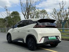 BYD Seagull 305km Vitality Edition - ფოტო 6
