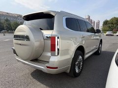 Tank 500 3.0T Business Edition Landscape Trim 5-Seater - фото 9