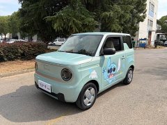 Geely Panda Mini 200km Endurance Edition - ფოტო 1