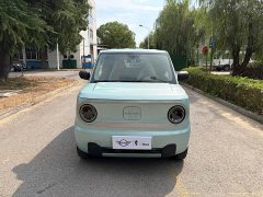 Geely Panda Mini 200km Endurance Edition - ფოტო 2