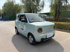 Geely Panda Mini 200km Endurance Edition - ფოტო 3