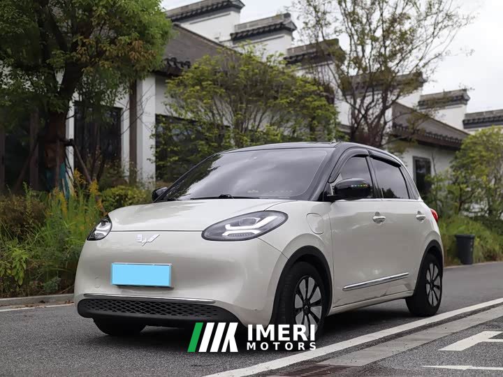 Wuling Binguo 333km Joy Edition - ავტომობილი ჩინეთიდან