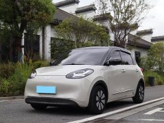 Wuling Binguo 333km Joy Edition - ფოტო 1