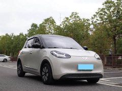 Wuling Binguo 333km Joy Edition - ფოტო 2