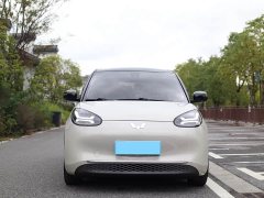 Wuling Binguo 333km Joy Edition - ფოტო 3