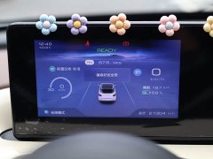 Wuling Binguo 333km Joy Edition - ფოტო 7