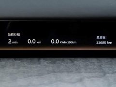 NIO ES9 102kWh Executive Island Signature Edition - фото 16
