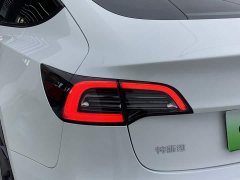 Tesla Model 3 Rear-Wheel Drive - ფოტო 14