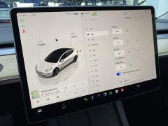 Tesla Model 3 Rear-Wheel Drive - ფოტო 17