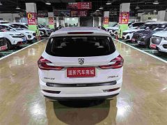 Baojun 310W 1.5L Version VI - ფოტო 5