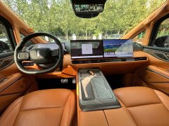 Great Wall WEY Shanshan New Energy Four-Wheel Drive Shanshan 8 - photo 12