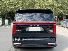 Great Wall WEY Shanshan New Energy Four-Wheel Drive Shanshan 8 - photo 6