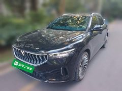 Voyah Lantu FREE Four-Wheel Drive Standard Pure Electric Exclusive Luxury Package - photo 1