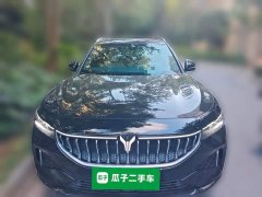 Voyah Lantu FREE Four-Wheel Drive Standard Pure Electric Exclusive Luxury Package - photo 2