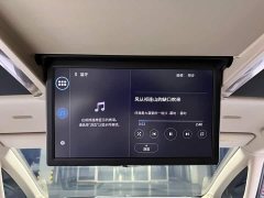 Toyota Alphard Hybrid 2.5L Premium Edition - фото 16