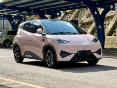 BYD Seagull Smart Drive 405km Flight Edition - ფოტო 3