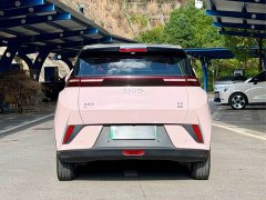BYD Seagull Smart Drive 405km Flight Edition - ფოტო 5