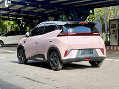 BYD Seagull Smart Drive 405km Flight Edition - ფოტო 6