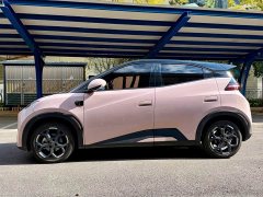 BYD Seagull Smart Drive 405km Flight Edition - ფოტო 7