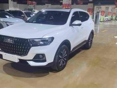 Haval H6 National Trend Edition 1.5T Automatic Urban Version - ფოტო 1