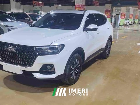 2023 Haval H6 National Trend Edition 1.5T Automatic Urban Version - ავტომობილი ჩინეთიდან