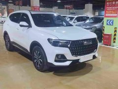 Haval H6 National Trend Edition 1.5T Automatic Urban Version - ფოტო 2