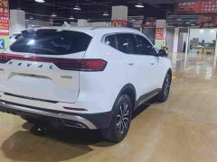 Haval H6 National Trend Edition 1.5T Automatic Urban Version - ფოტო 9