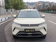 BYD Yuan UP Smart Drive 401KM Vitality Edition - photo 2