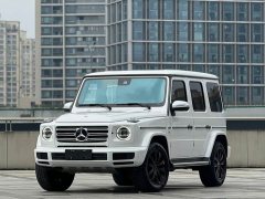Mercedes-Benz G-Class G 500 - ფოტო 1