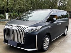 Great Wall WEY Shanshan New Energy Four-Wheel Drive Executive Extended Version - ფოტო 1