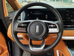 Great Wall WEY Shanshan New Energy Four-Wheel Drive Executive Extended Version - ფოტო 10