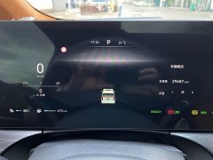 Great Wall WEY Shanshan New Energy Four-Wheel Drive Executive Extended Version - ფოტო 11