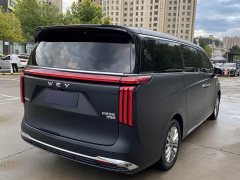 Great Wall WEY Shanshan New Energy Four-Wheel Drive Executive Extended Version - ფოტო 5