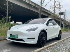 Tesla Model Y Performance All-Wheel Drive - фото 1