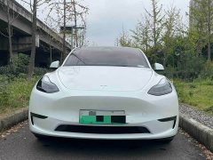 Tesla Model Y Performance All-Wheel Drive - фото 2