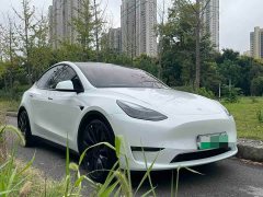 Tesla Model Y Performance All-Wheel Drive - фото 3
