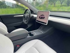Tesla Model Y Performance All-Wheel Drive - фото 5