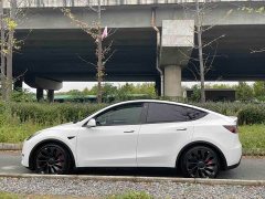 Tesla Model Y Performance All-Wheel Drive - фото 9