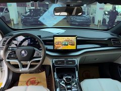 BYD Qin PLUS Champion Edition EV 420KM Excellence - ფოტო 6