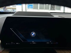 BMW X1 xDrive25Li X Design Package - ფოტო 7