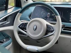ORA Good Cat 400km Standard Range Athena Edition Ternary Lithium - ფოტო 11