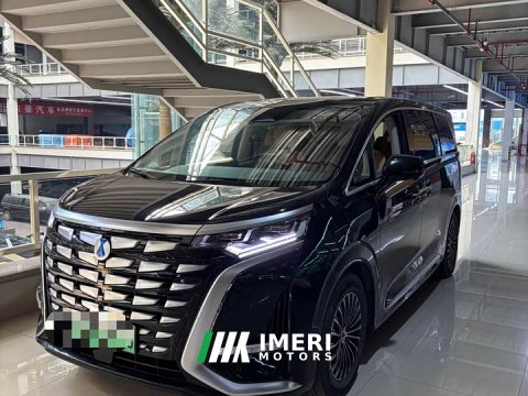 2023 Denza D9 DM-i 970 AWD Premium Edition - car from China