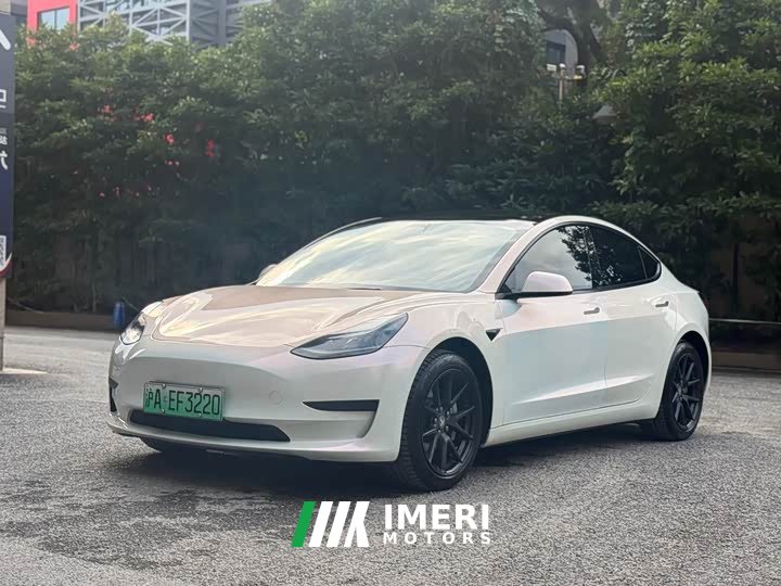 Tesla Model 3 Rear-Wheel Drive - car from China