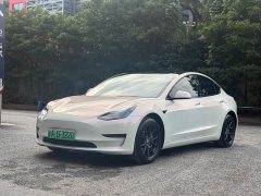 Tesla Model 3 Rear-Wheel Drive - photo 1
