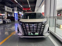 Denza D9 DM-i 970 AWD Premium Edition - ფოტო 3