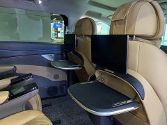 Denza D9 DM-i 970 AWD Premium Edition - ფოტო 7