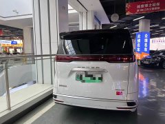 Denza D9 DM-i 970 AWD Premium Edition - ფოტო 9