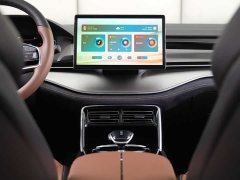 BYD Tang New Energy DM-i 112KM Premium Edition - фото 10