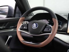 BYD Tang New Energy DM-i 112KM Premium Edition - фото 12